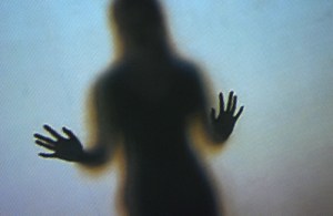 Mostra d'Arte Contemporanea Biennale Venezia