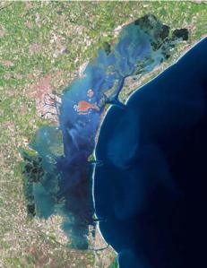 Salviamo la laguna di Venezia