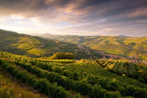 Tour eno-gastronomico in Valpolicella
