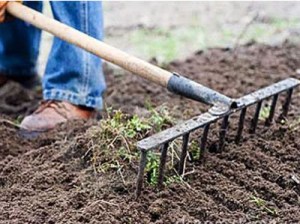 Fai le aiuole a Casa di Anna