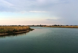 Tour ecologico in laguna di Venezia