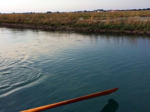 Tour ecologico in laguna di Venezia