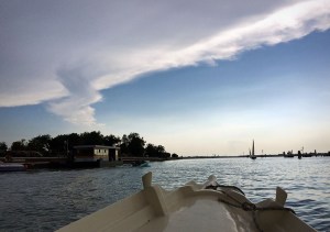 Tour ecologico in laguna di Venezia