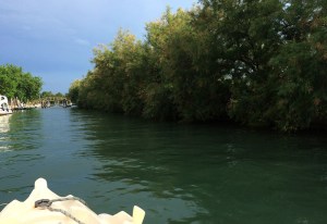 Tour ecologico in laguna di Venezia