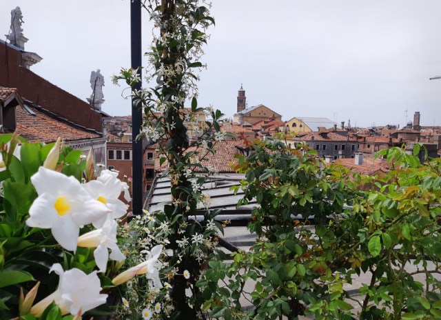 Aperitivo in terrazza a Venezia